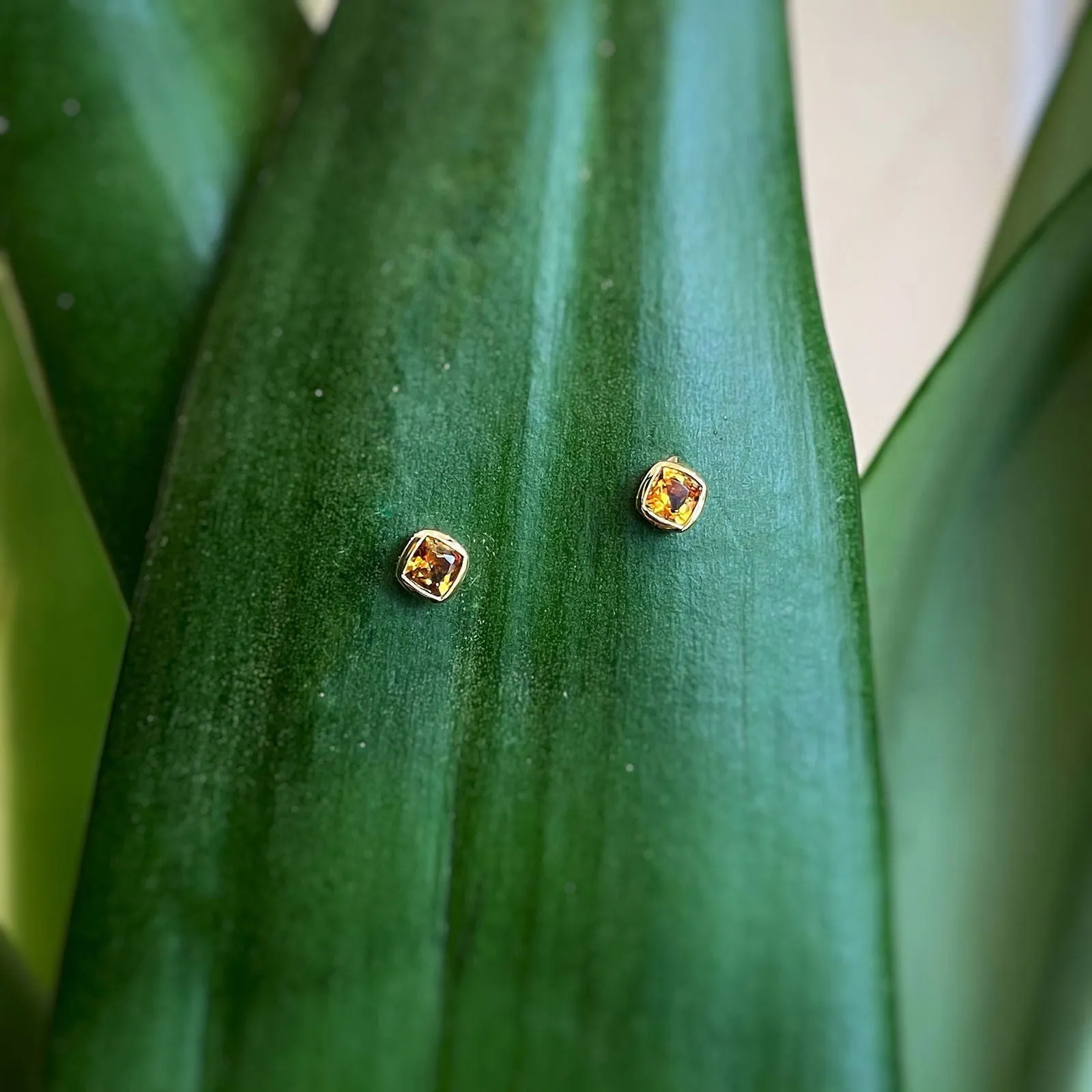 Bezel Studs